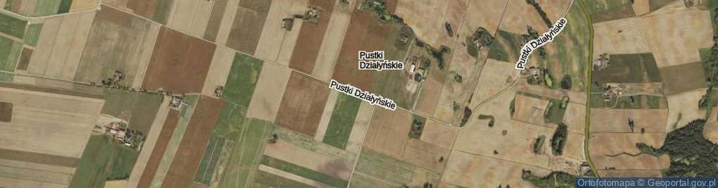 Zdjęcie satelitarne Pustki Działyńskie ul.